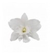 Orchid Flower Hair Clip White