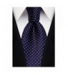 Fold Silk Necktie Purple perfect