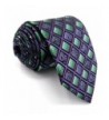 Shlax Checkered Purple Green Neckties