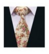 Cheap Designer Men's Neckties