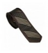 Coachella Bordered Stripe Necktie Microfiber