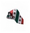 Premium Mexico Flag Neck Silk