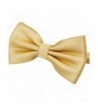 Classic Pre Tied Adjustable Available Champagne