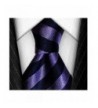 Gorgious Fold Silk Necktie Striped