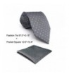 Shlax Design Neckties Business Classic