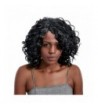 Afro Curly Wig 17 Black