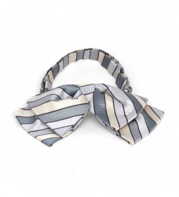 TieMart Silver Douglas Stripe Floppy