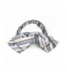 TieMart Silver Douglas Stripe Floppy