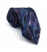 Shlax Fashion Neckties Paisley Dress