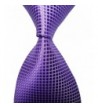 Paisley Jacquard Necktie Checkered Purple