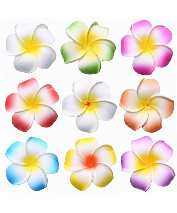 Youbami Hawaiian Plumeria Flower Accessory