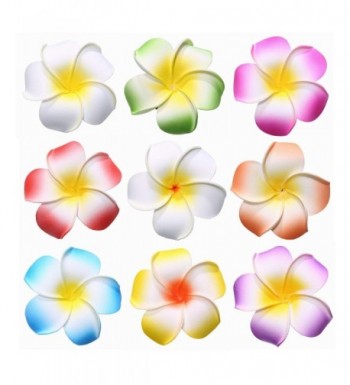 Youbami Hawaiian Plumeria Flower Accessory