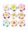 Youbami Hawaiian Plumeria Flower Accessory