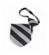TieMart Black Silver Striped Zipper
