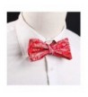 Designer Men's Bow Ties On Sale