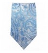 Designer Men's Ties