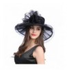 Womens Organza Kentucky Fascinator Wedding