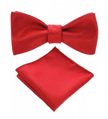 JEMYGINS Formal Bowtie Pocket Square