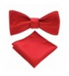 JEMYGINS Formal Bowtie Pocket Square