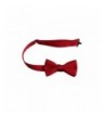 Trendy Men's Bow Ties Clearance Sale