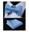 Cheap Men's Bow Ties Outlet Online