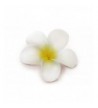 Plumeria Hair Flower White Yellow