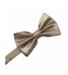 Fashion Men's Bow Ties Online