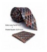 Shlax Designer Checkered Neckties Orange