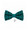 Bow Tie House Turquoise pre tied