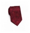 Bows N Ties Necktie Paisley Satin Inches