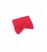 100 Satin Solid Color Raspberry
