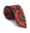 Shlax Acceossories Necktie Printed Paisley