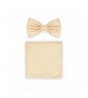 Bows N Ties Pre Tied Pocket Micro Texture Apricot