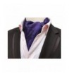 Elfeves Purple Paisley Cravat Fashion