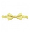 American Lifestyle Anchor Bowtie Yellow