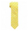 American Lifestyle Mens Necktie Yellow
