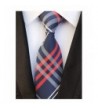 Check Striped Regular Wedding Necktie