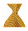 MINDENG Striped Business Neckties Fantisic